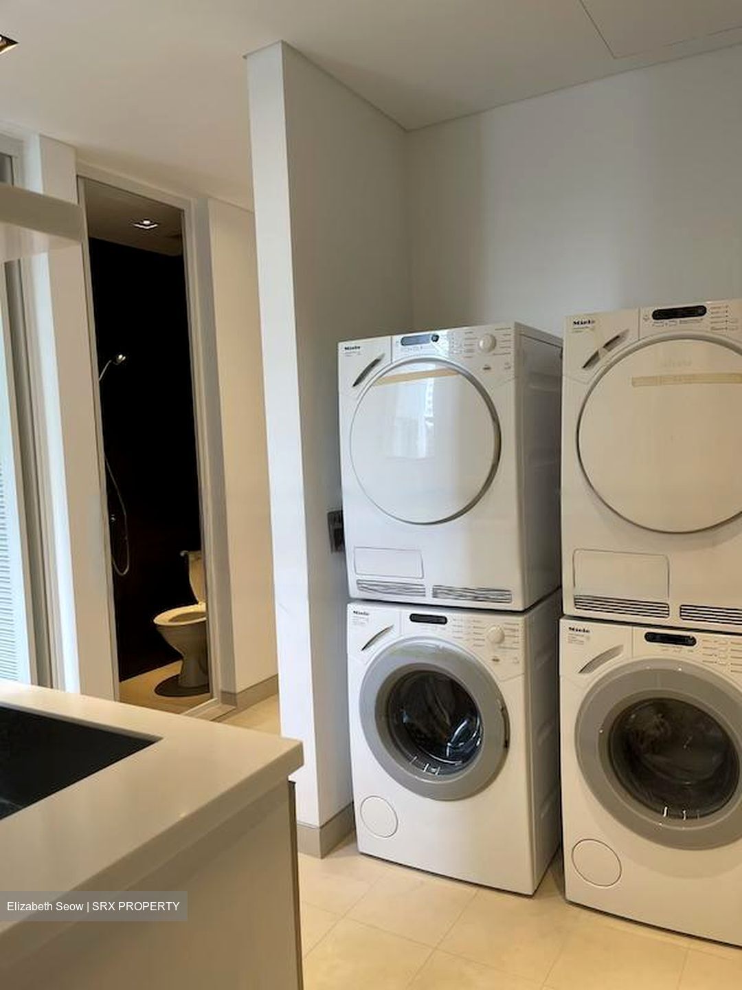 The Oliv (D10), Apartment #459126951